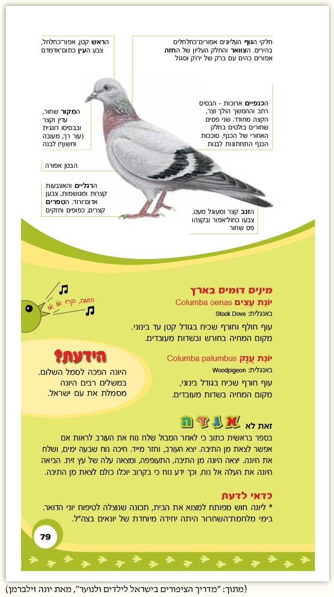 דף ממדריך ציפורים